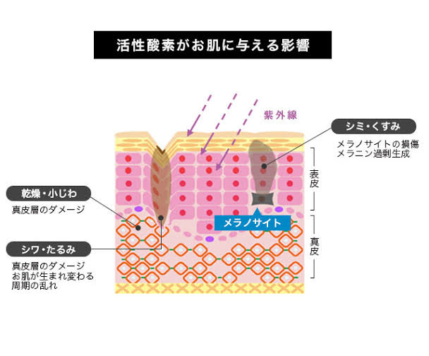 cb9fbfcf-b2df-4fda-8c81-5df3d536ceed
